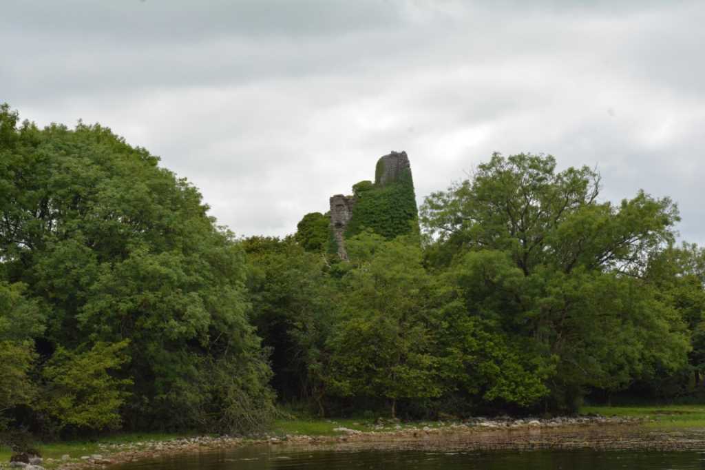DSC_6359Mittel_.JPG